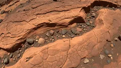 Mars okazał się „bardziej żywy”, niż sądzono: nowe odkrycie naukowców