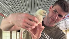 27-letni bankowiec zrezygnował z pensji w wysokości 150 000 dolarów i wyjechał, by hodować kury – oto dlaczego